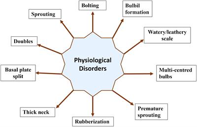 Unravelling physiological disorders in onion and garlic: critical assessment and bibliometric visualization